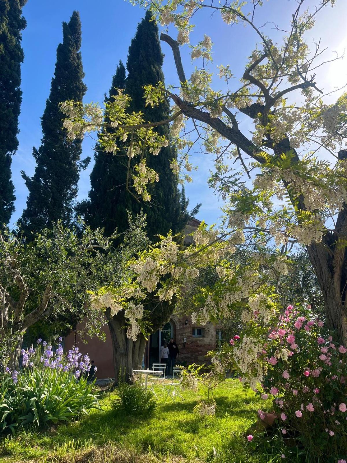 Casa Ezio Marchi Bed & Breakfast Bettolle Exterior photo