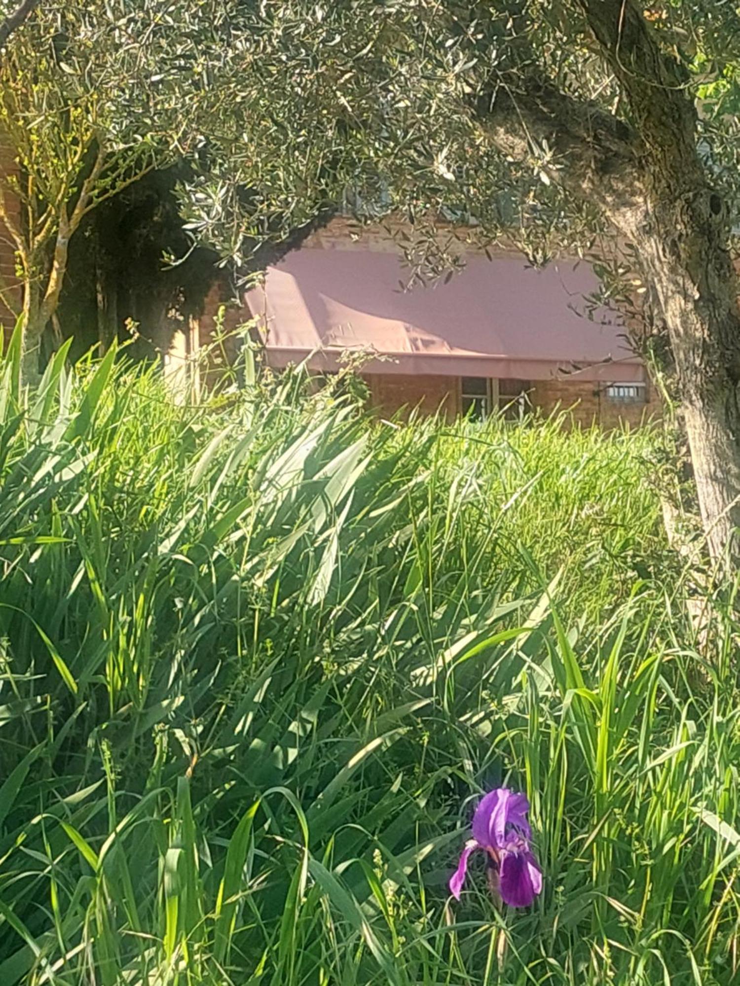 Casa Ezio Marchi Bed & Breakfast Bettolle Exterior photo